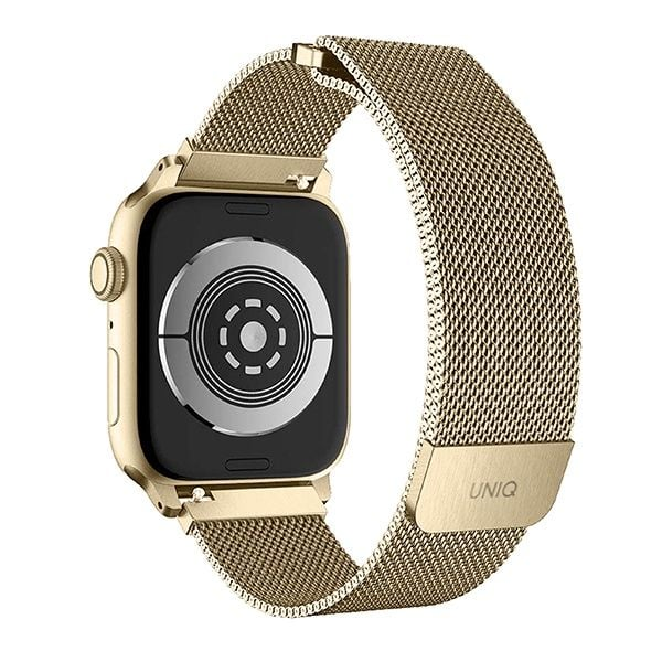 Dây Đeo Apple Watch UNIQ DANTE MESH STEEL STRAP (42/44/45mm)